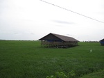 15579IMG_4649.JPG