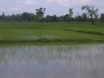 34579RIMG0045.JPG