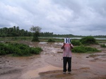 1174210-mixed-others-rice-watera.jpg