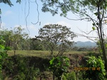 31828IMG_5429.JPG
