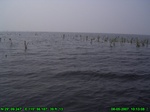 1492R0015195_tag.jpg
