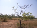 9033RIMG0111.JPG