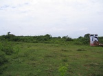 1057875-scrubland-1yr-1m-b.gif
