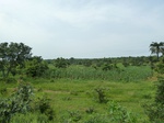 18754P1000592.JPG