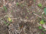46640DSC01973.JPG