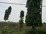 31602CIMG1468.JPG