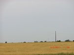 29601CIMG0869.JPG