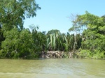 54693Bulungan (188).JPG