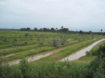 33643IMG_5832.JPG