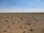 36706CIMG0475.JPG