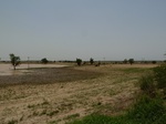 19022P1000866.JPG
