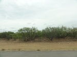 36037DSC02757.JPG