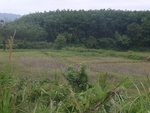 34597RIMG0063.JPG