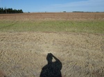39177BUFF20110711W.JPG