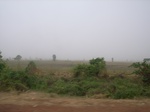3950RIMG0254.JPG