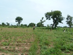 18794P1000632.JPG