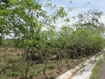 29547IMG_5148.JPG