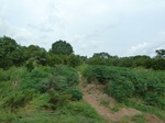 20830P1020690.JPG