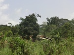 49056CIMG5393.JPG