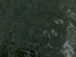 58052CIMG2346.JPG