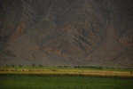 27410DSC_6949.JPG