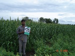 126380175a-irrigated-supplemental-groundwater-millet-dominant-cotton-onion-maize.gif
