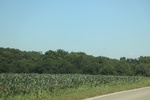 2024-06-17_21-20-43_5381C0AE-9EEF-4581-B463-98C0F72EAD23.jpeg