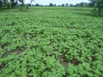 21400RIMG0127.JPG