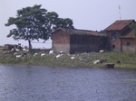 671R0015179.jpg