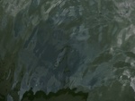 58047CIMG2341.JPG