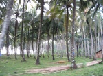 15951IMG_4502.JPG