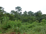 25634P1020050.JPG