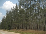 27875IMG_4880.JPG