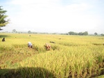 15957IMG_4508.JPG