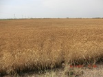 29368CIMG0598.JPG