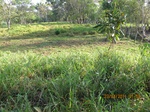29965IMG_5380.JPG