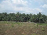 27874IMG_4879.JPG