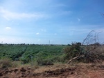 56145CIMG6847.JPG