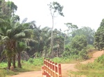 46943CIMG3280.JPG