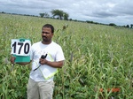 126240170a-rainfed-agriculture-millet-vegetable-tomato.gif