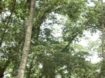 48375CIMG4712.JPG