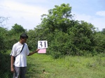 1186931-scrubland-good-tree-covera.jpg