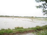 14421IMG_4769.JPG