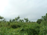 20371P1020228.JPG