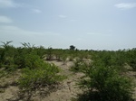 19256P1010102.JPG