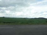 24826DSC00995.JPG