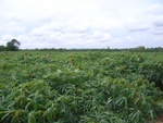 26191RIMG0243.JPG