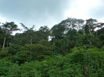 20642P1020499.JPG