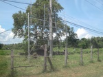 26727IMG_4075.JPG