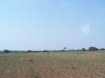 1784626042008(26).JPG